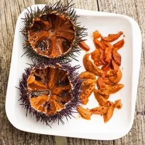 Erizos de mar frescos de Galicia con sus características púas oscuras.