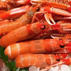 Cigalas frescas mediterráneas tamaño mediano ideales para arroces y plancha