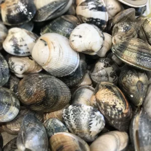 Malla de 500 gramos de almejas de cultivo frescas de origen italiano.
