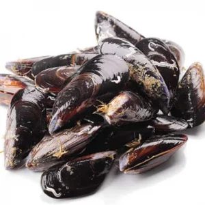 Mejillones de las rías gallegas frescos de gran tamaño y color negro azulado.
