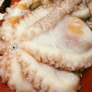 Pulpo fresco de Galicia de 3kg capturado en el Atlántico, ideal para cocer.