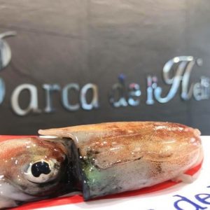 Sepietas pequeñas (sepiones) frescas de la lonja de San Carlos de la Rápita.