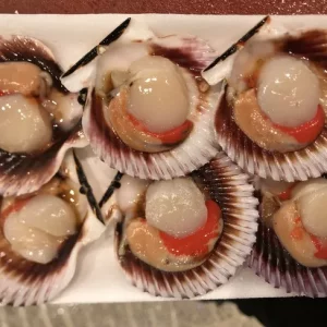 Zamburiñas frescas de Galicia de concha ovalada, pack de 6 piezas.